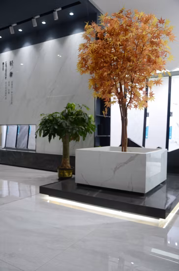 Baldosa esmaltada polaca vitrificada de cerámica de la pared de la porcelana de 600*1200m m Carara blanca